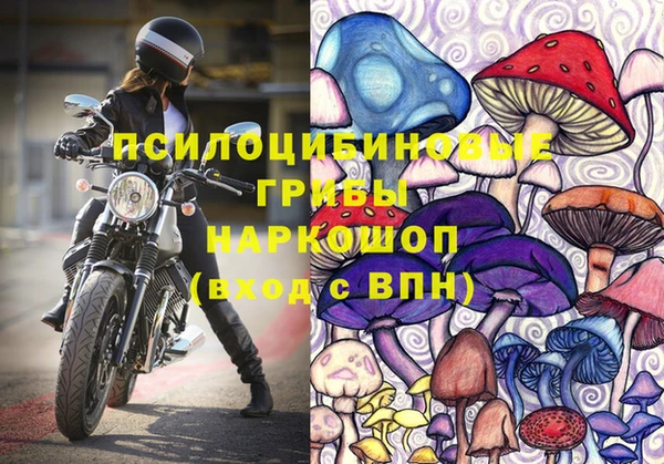 гашик Абдулино